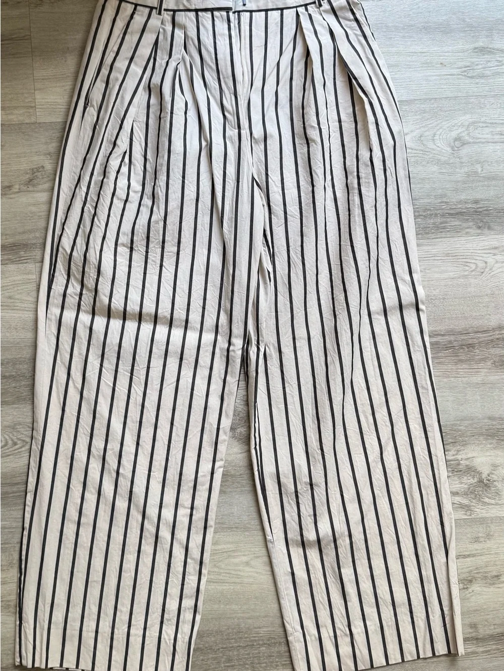 Zara ZW Collection Striped Pleated Pants